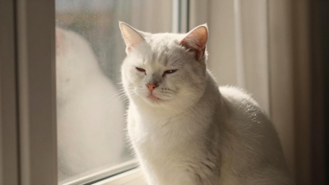 中国水环境质量问题严峻 污染治理面临多重挑战 - 良天资讯