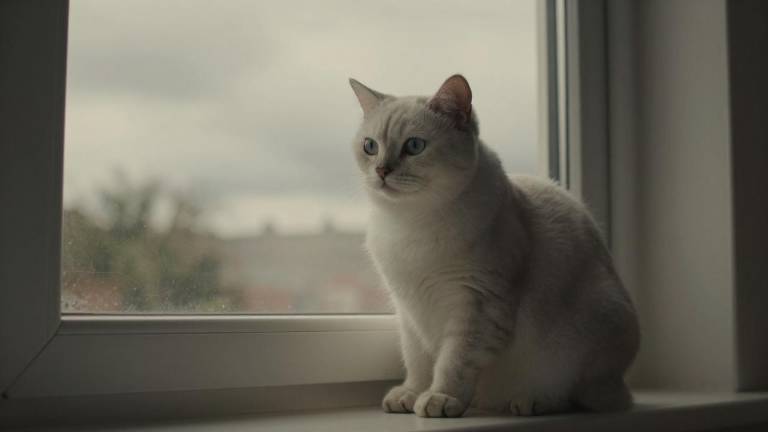 立足实际打赢天津治霾持久战(图3)