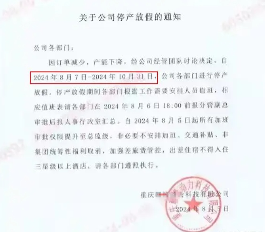 锂电巨头突然停产放假3个月，背后真相竟与百亿投资有关(图1)