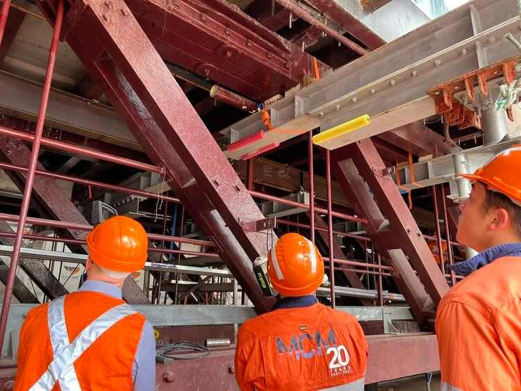 考拉公园扩建引争议：保护与40亿木材产业的博弈如何平衡？(图3)