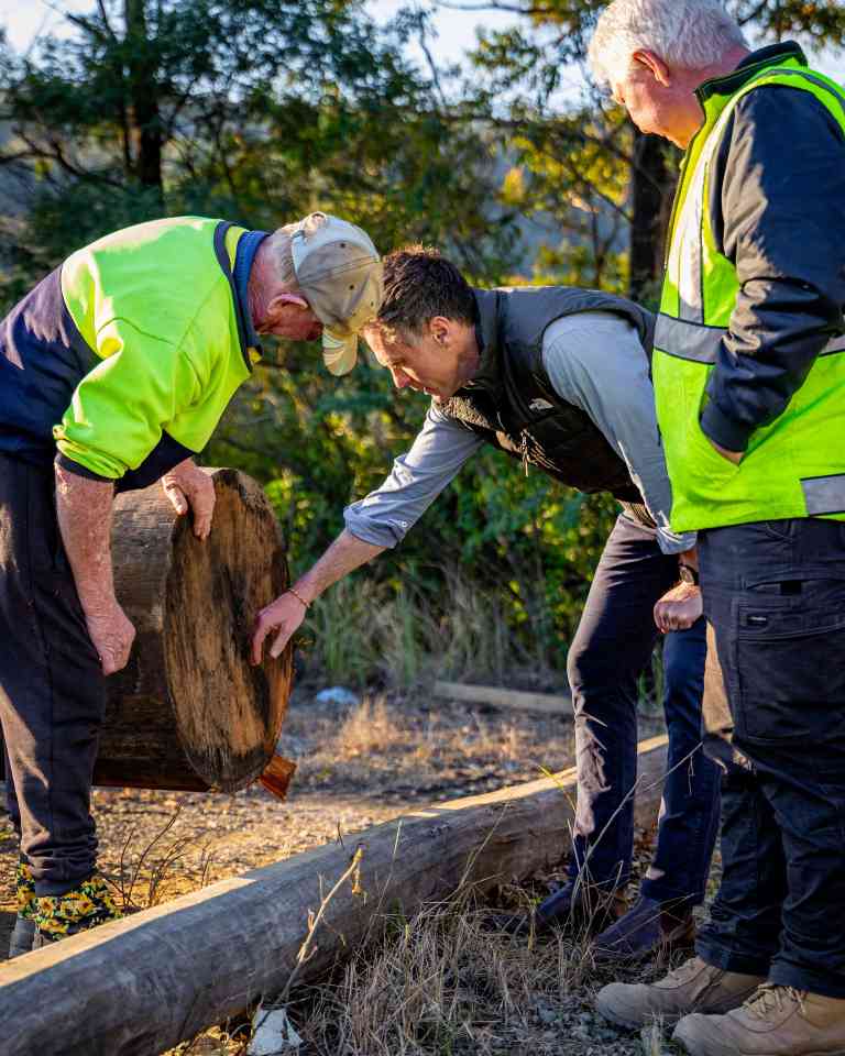 考拉公园扩建引争议:保护与40亿木材产业的博弈如何平衡?(图1) 考拉公园扩建引争议:保护与40亿木材产业的博弈如何平衡?(图1)