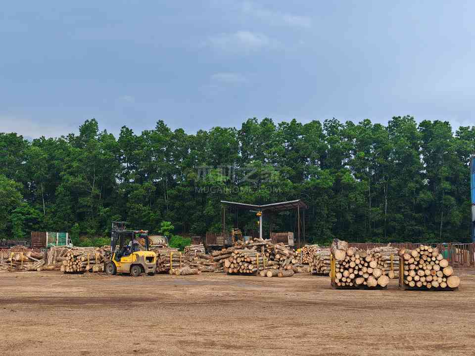橡胶木进口刚反弹就遇“急刹车”？行业人士：市场增速或将放缓 - 良天资讯