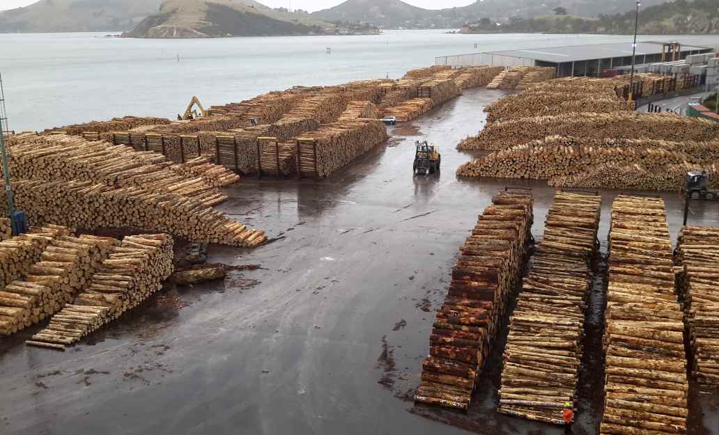 印度刚宣布！千亿住房新规撬动木材新蓝海，行业巨头已嗅到商机！(图3)