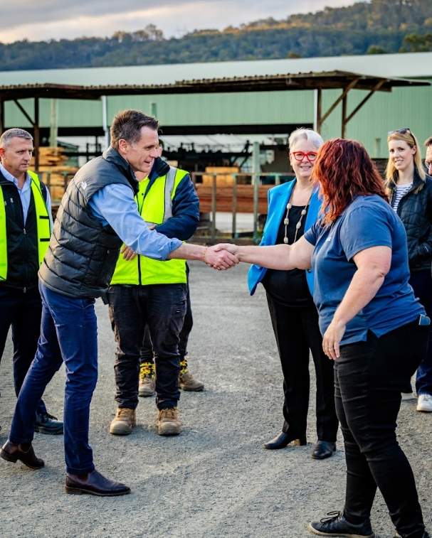 新州州长面临艰难抉择：考拉公园扩建关乎木材行业与社区未来(图2)