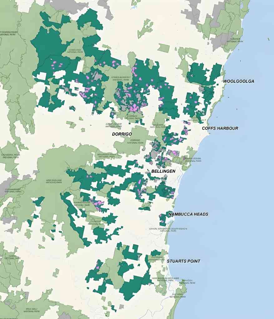 新州州长面临艰难抉择：考拉公园扩建关乎木材行业与社区未来(图7)