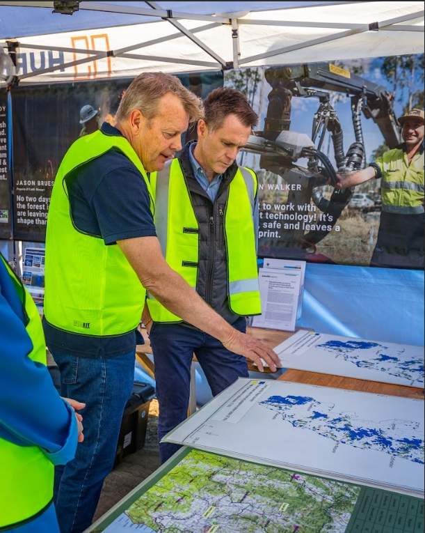 新州州长面临艰难抉择：考拉公园扩建关乎木材行业与社区未来(图10)