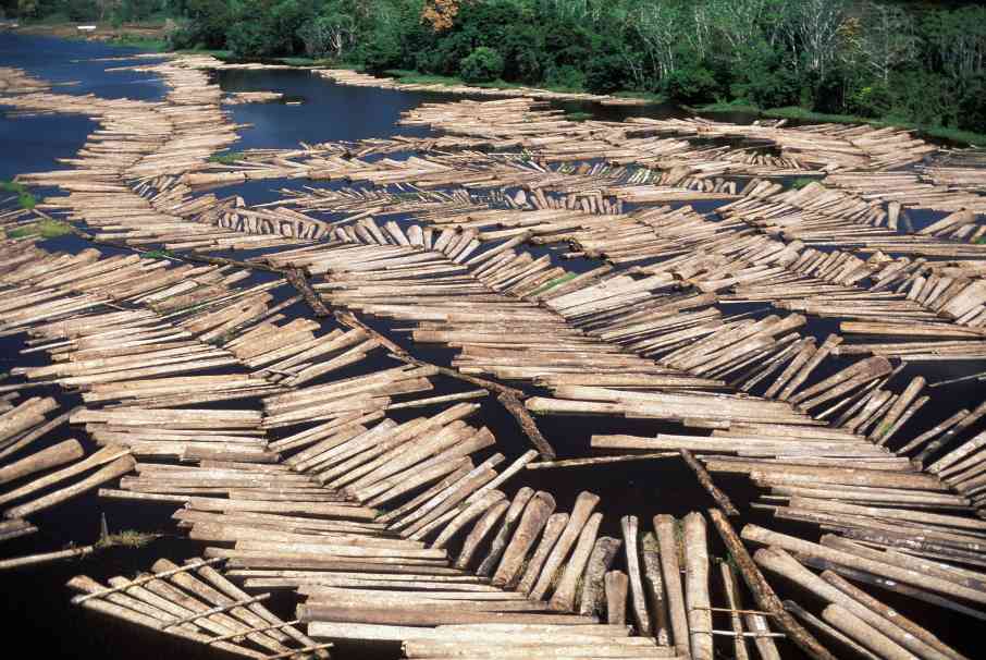 新南威尔士州碳模型遭行业质疑：排放泄漏问题未解决难经国际审查-木材之家 - 良天资讯