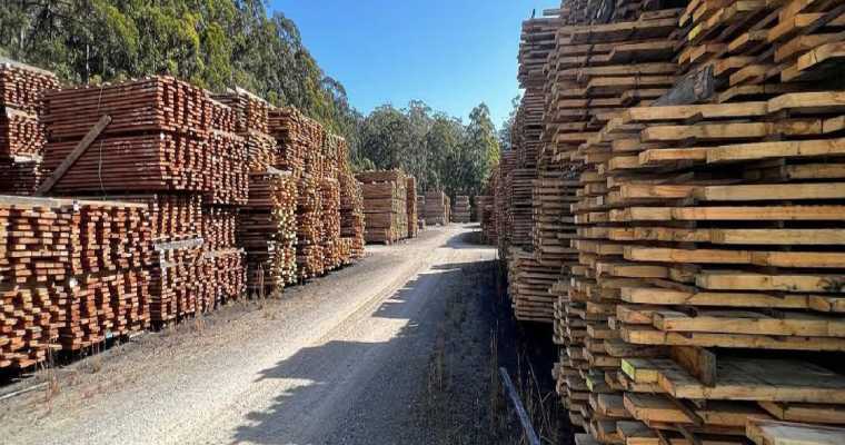 澳大利亚公布国家木材纤维战略以促进行业增长(图1)