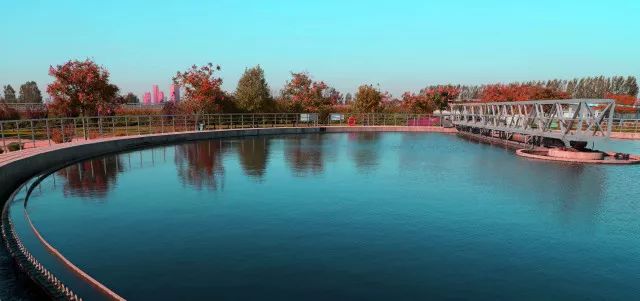 循环经济让“落后产能”绿起来 ——访河北