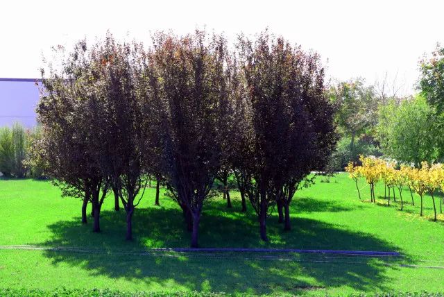 循环经济让“落后产能”绿起来 ——访河北省保定市高阳县委书记高文才(图2)