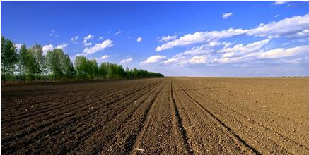 专访｜胡振琪：我的“土地复垦与生态修复”