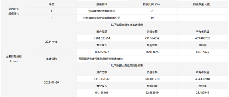 国家能源集团挂牌转让一新能源公司51%股权(图1)