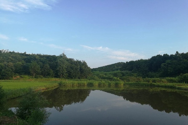 首创环保为京津冀生态安全护航 以智慧建设“首”护密云水库 - 良天资讯