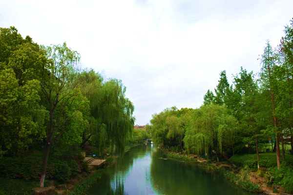 广业环保成功中标普宁农村污水治理项目 助力百千万工程绿色发展 - 良天资讯