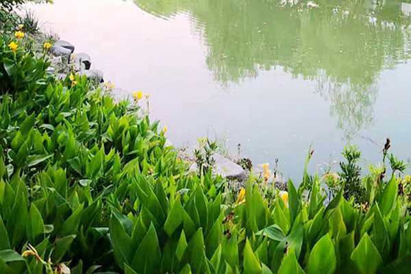 广西环投水务中标合浦县18座乡镇污水处理厂运维项目 - 良天资讯