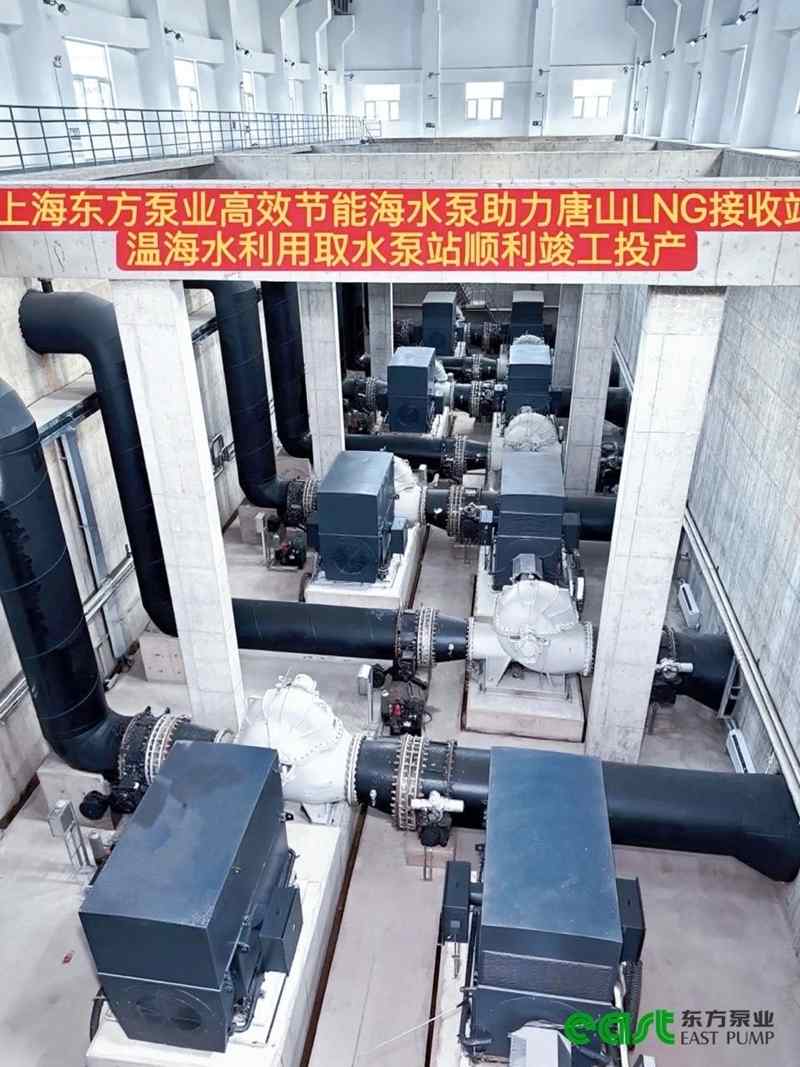 国家级LNG接收站海水取水泵解决方案，保障能源安全核心技术(图6)