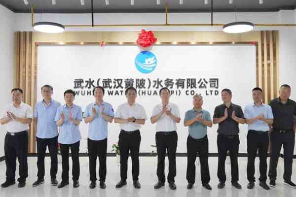 一地新水务公司揭牌！武汉两家水务公司共同组建 - 良天资讯