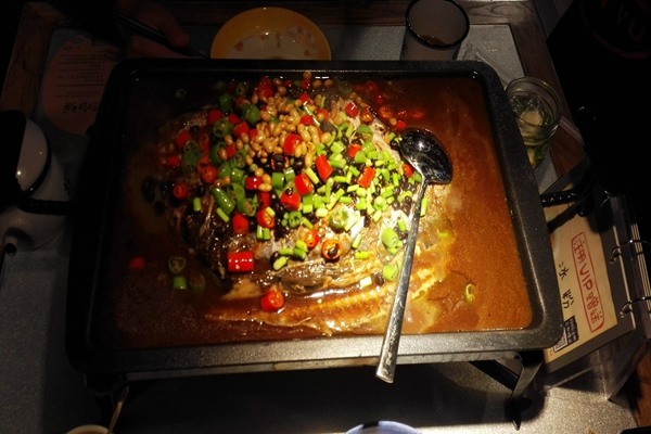 嘉兴市有机废弃物全链条资源化处理项目引领绿色发展 - 良天资讯