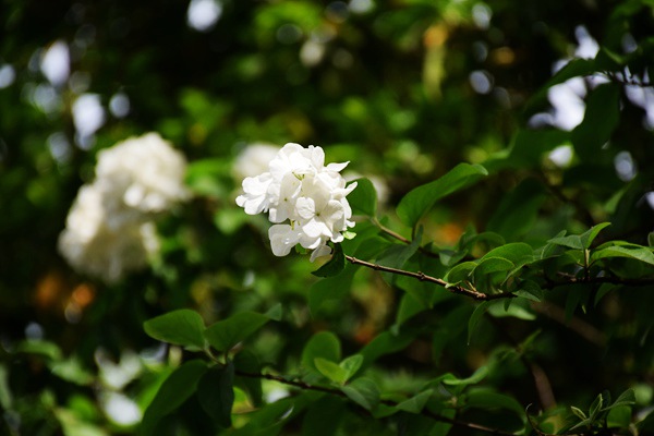 技术创新推动资源循环利用变废为宝新招频出 - 良天资讯