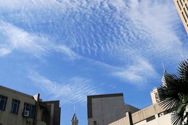 河南国际集团重组五大业务板块推动资产规模翻番 - 良天资讯