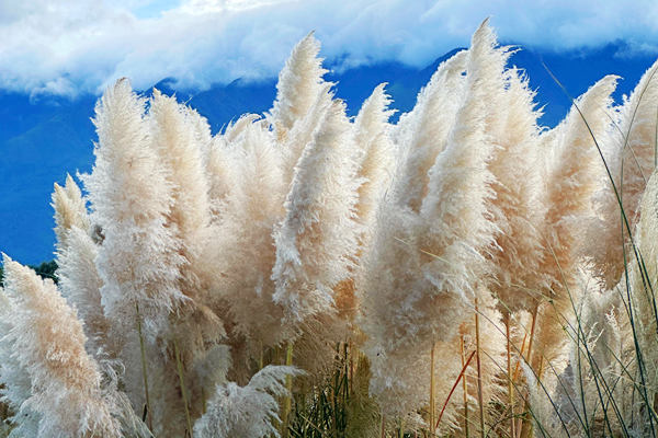 专注创新 昂首迈进