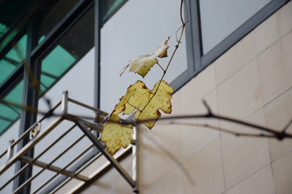 创新模式破解海岛用水难题 - 良天资讯