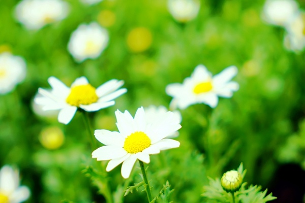 广东资源循环平台正式组建，推动绿色低碳发展 - 良天资讯