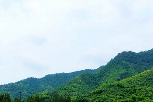 中铁水务中标煤化工固废处理EPC项目，合同额3.43亿 - 良天资讯