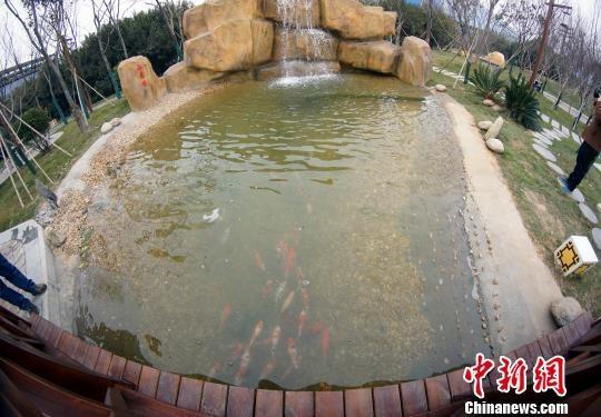 工业废水变直饮水：工厂如何实现高标准环保目标(图9)