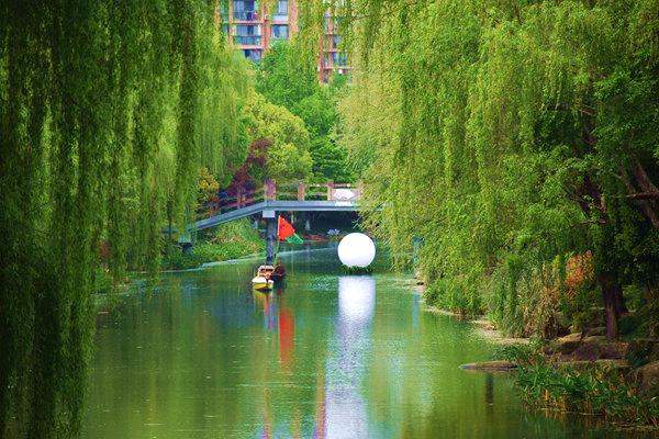 石首市黑臭水体治理成效显著现清流 - 良天资讯