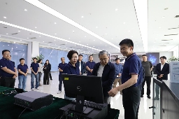 中国双碳战略数字化赋能实践成效获认可(图4)