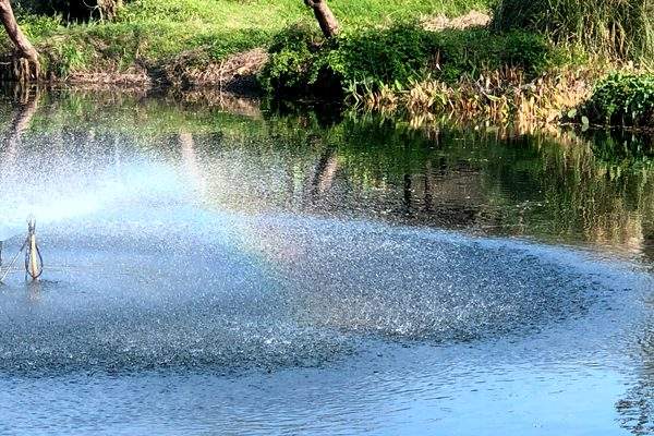 东门河生态治理：从黑臭水体到生态画廊的转变 - 玄熵良天资讯