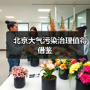 北京大气污染治理经验：系统措施成效显著(图4)