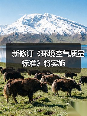 空气质量标准升级，PM2.5限值新政推动健康防护 - 玄熵良天资讯