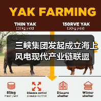 三峡集团发起成立海上风电现代产业链联盟(图1)