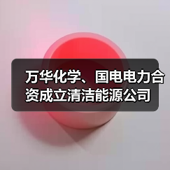 万华化学、国电电力合资成立清洁能源公司(图1)