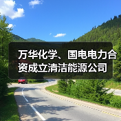 万华化学、国电电力合资成立清洁能源公司(图3)