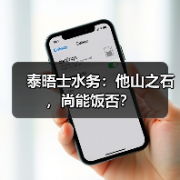 泰晤士水务：他山之石，尚能饭否？(图1)
