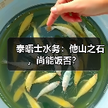 泰晤士水务：他山之石，尚能饭否？(图4)