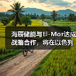 海辰储能携手以色列El-Mor推进长时储能项目部署(图1)
