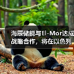 海辰储能携手以色列El-Mor推进长时储能项目部署(图3)