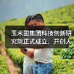 玉禾田集团推动数智化转型，打造智慧城服新引擎(图4)
