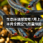全国空气质量预测：臭氧污染区域分布及预警(图2)