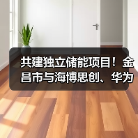 金昌市与华为海博思创签署储能合作框架协议(图4)