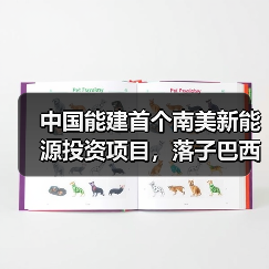 南美首个新能源项目落地巴西 助力中巴绿色合作(图4)