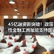 政策性金融工具助力南水北调国家水网建设(图4)