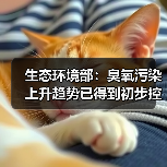中国臭氧污染趋势初现控制，多措并举应对气象影响(图3)