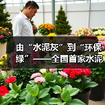 水泥行业超低排放改造引领绿色转型(图2)