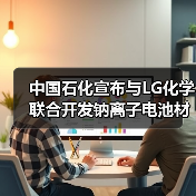 LG化学携手中国石化共建钠离子电池材料生态(图3)