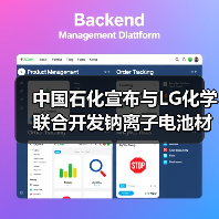 LG化学携手中国石化共建钠离子电池材料生态(图4)